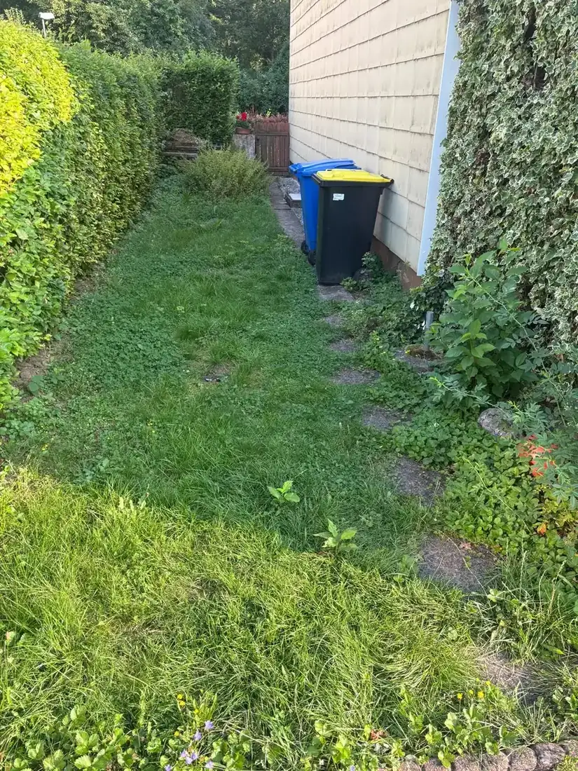 Grünfläche mit Mülltonnenplatz an einem Mehrfamilienhaus